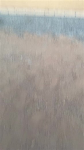 havi.g (@havi.g)’s videos with original sound - havi.g