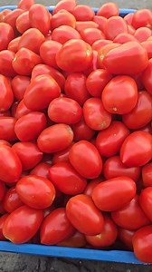 Marco Antonio Arroyo Rodríguez on Reels