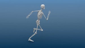 Slow Motion Animation Running Human Skeleton Stock Footage Video (100% Royalty-free) 447922 | Shutterstock