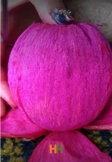 The strangest fruits in the world | fruit