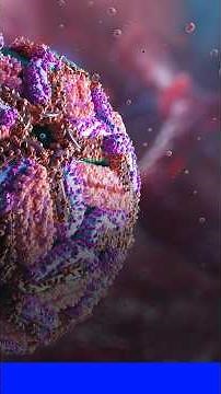 What is West Nile virus, with 39 cases reported in France?