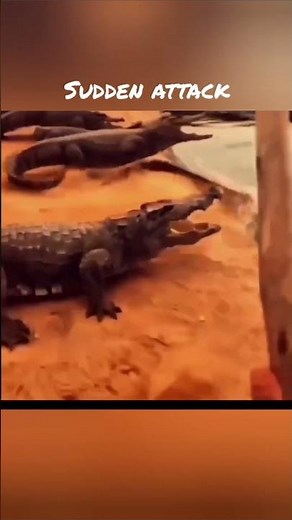 The Universal Meme uploading #crocodile #memes