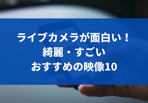 ライブカメラが面白い！綺麗・すごい おすすめの映像10