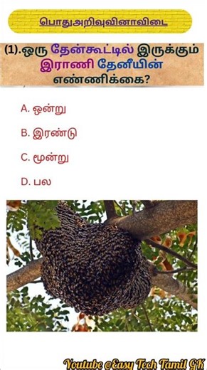 General Knowledge Questions Tamil | Pothu Arivu Tamil | GK in Tamil | gk question#gk #shorts #tamil