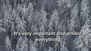 Finnish reindeer farm shows nature at its finest