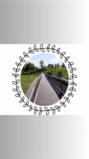 Bridge: Nature Photo Art, PDF, Wallpaper, Bridge Picture (digital Download) - Etsy