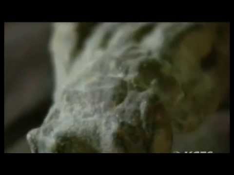 Mysterious White Mummies in Asia