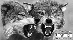 Clip: Time Lapse Drawing: Growling Wolves