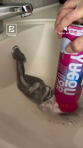 This foam cleans your sink like never before!! | Fossbytes