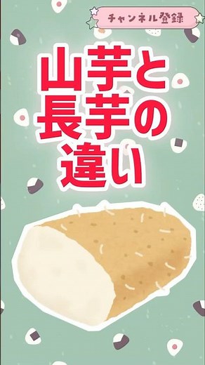 山芋と長芋の違いって？ #グルメ #雑学 #解説