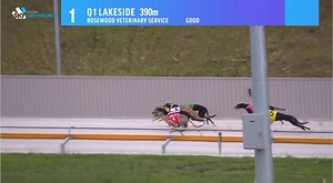 26K views · 462 reactions | ✨⭐️ First Ever Race at Q1 Lakeside ⭐️✨ 磊Won by Miss Spritz for Tony Brett! 磊  What a beautiful looking turn! 390m ⏱️22.24  Congratulations to everyone involved!  Sky Racing | THE GREYHOUND GIRL | Facebook