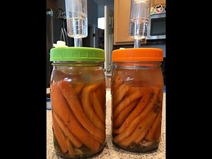 How to Make Fermented Carrots, and 90 Carrot Root Cellar Checkup!