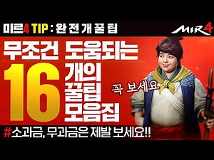 미르4 유저들이 알고있으면 유용한 꿀팁 16가지! [테일이의 미르4]