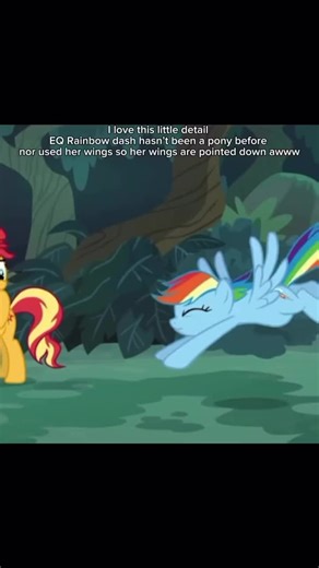 #mlp #mylittlepony #mylittleponyfriendshipmakesmagic #mylittleponyfandom #fyp