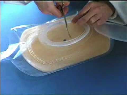 Eakin® Access Window™ Application Guide