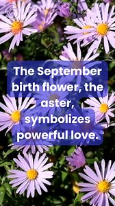 Fun Facts About September You Dont Know (2023 Facts)