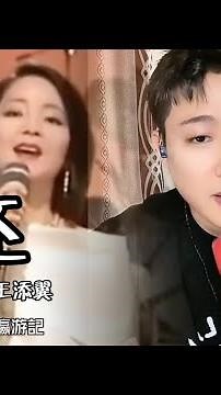 つぐない（偿还）- 王添翼＆テレサテン