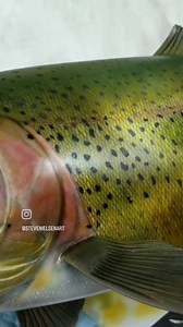 2.3K views · 181 reactions | I was browsing through some old footage...