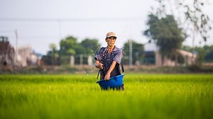 Agribisnis adalah Usaha Berbasis Pertanian, Kenali Sektornya