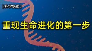重磅！科学家首次重现RNA复制过程，【科学快报218】