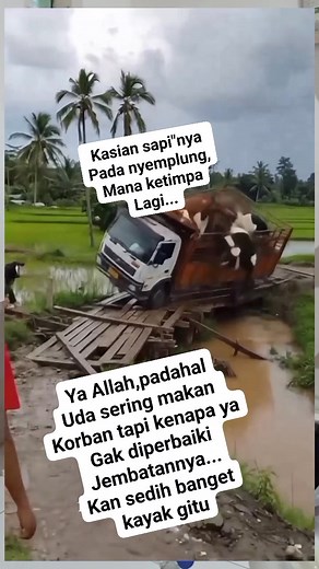 5.4K views · 11 reactions | Padahal Uda serint makan korban... ##kontenkreator ##srisutrisman ##fbpro @pengikut @sorotan | Sri Sutrisman | Facebook