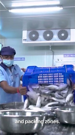 End-to-End Seafood Processing Facility Design - By Rinac India Limited.