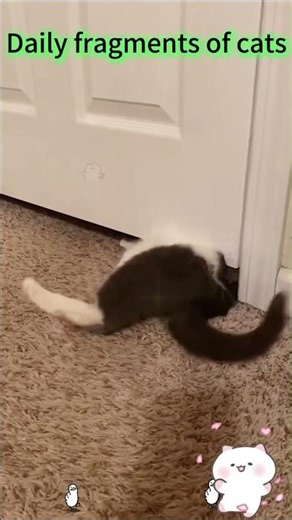 Por favor comparte con tus amigos #pov #herramientas #sketch #gracioso #actuación #historia