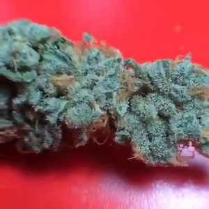 27K views · 476 reactions | Could you smoke this? | Weed Weekly | Facebook