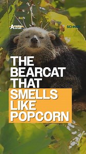 LiveScience on Reels