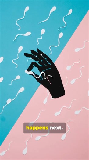 What Happens After Ejaculation – The Journey of Sperm Every ejaculation launches over 300 million sperm, but only one can reach the egg. This is the hidden race happening inside the female body — where life begins.  Watch our latest short to see what happens next… when sperm meets the egg. #ScienceShorts #humanbody #BiologyExplained #reproduction #fertilization #spermjourney #insideherbody #CinematicScience #educationalshort #TheHumanStory | Daily News Hub | Facebook