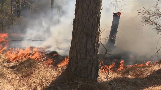 'Would've burned a few blocks:' Fire crews save Camden neighborhood from Wednesday blaze