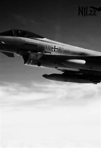EF-2000 Typhoon: Performance and Documentation Insight