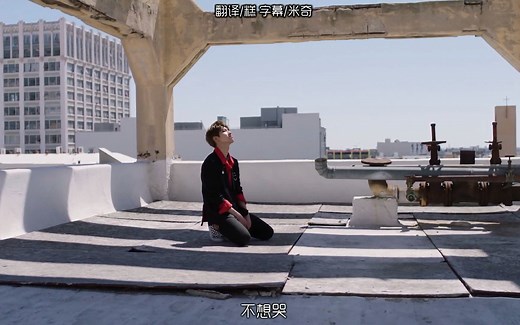 【中文字幕】SEVENTEEN - 我不想哭_Don't Wanna Cry MV