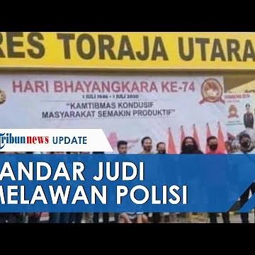 Bandar Judi Sabung Ayam di Toraja yang Lawan Polisi dan Videonya Viral Tak Berkutik saat Ditangkap