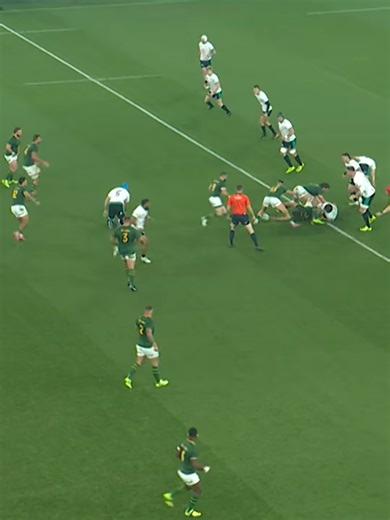 Understanding Bok Dominance in Rugby