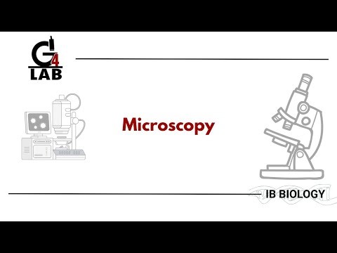Microscopy | IB Biology