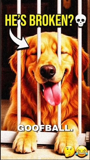 He's actually broken #shorts #relatable