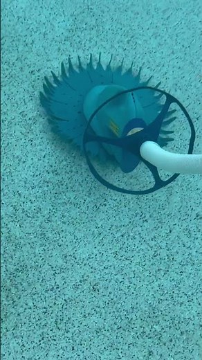 Barracuda Pool Vacuum Provides AMAZING Cleaning Results