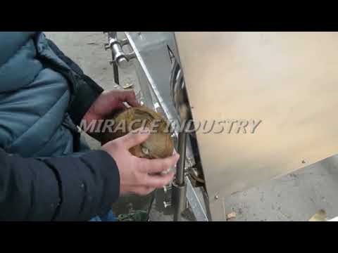 Amazing Coconut Deshelling Machine/ Coconut Sheller/ Coconut Shell Dehulling Machine