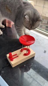 ✨ The “endless” motion illusion you have to see to believe! 🔍 Watch the ball defy gravity, cycle after cycle—*spoiler*: it’s not magic, it’s genius engineering. A hidden battery gives it that “perpetual” push, while cleverly curved wires create the mesmerizing effect. Tag a science nerd and save to blow minds at your next gathering! Who’s questioning reality now? 👇 | Asian Technology