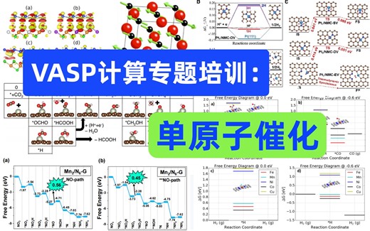 VASP单原子催化计算培训：单/双原子模型，电子性质，HER、OER/ORR、CO2RR、NO3RR、d带中心、电位影响、线性约束关系、反应过渡态、吸附构型