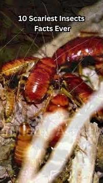 10 Scariest Insect Facts Ever................... #facts #insects #shorts