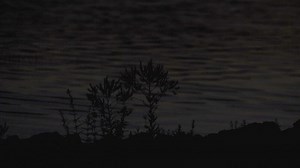 Download Lake Geography at Night for free