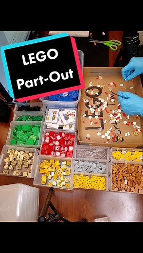 LEGO Parts Sorting Time-lapse | Organize Your LEGO Collection