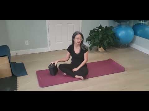 Level 1 dead bug with cross over isometric