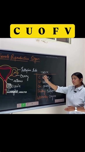 Female Reproductive System Diagram in 30 Seconds! 🔥 Labeling Trick | Class 10 Biology