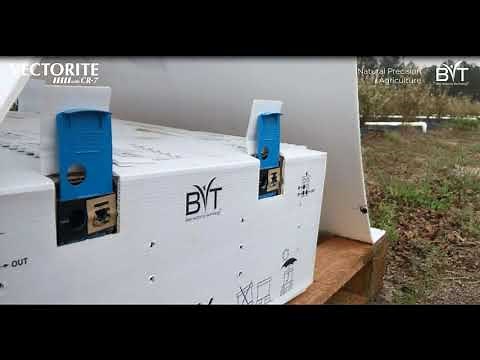VectorHive Bumble Bee System from BVT