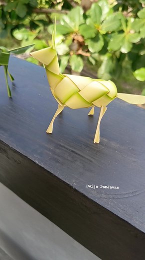 1.3K views · 873 reactions | Kreasi unik dari janur. . Tutorial menyusul di Dwija PanJavas social media #kreasijanur #coconutleafcraft #idekreatif #palmleafart #diy #kerajinantangan #daunkelapa #mainanedukasi #fblifestyle Dewa Ayu Triana Dewi Pengikut | Dwija PanJavas | Facebook