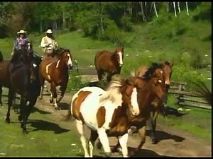 How to Book a Dude Ranch Vacation