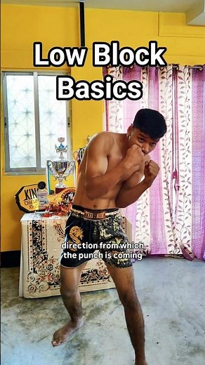 Day 33 - How to Do a Low Block Correctly (Step by Step) | Block Body Hooks & Uppercuts #boxingtips